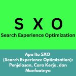Apa Itu SXO (Search Experience Optimization): Cara Kerja, dan Manfaatnya
