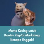 Meme Kucing untuk Konten Digital Marketing, Kenapa Enggak?