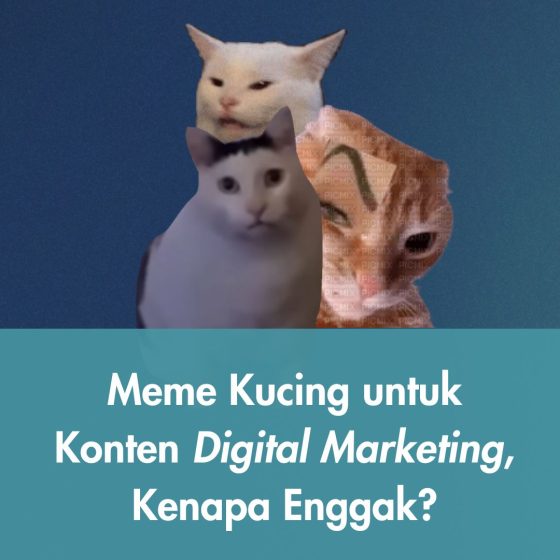 Meme Kucing untuk Konten Digital Marketing, Kenapa Enggak?