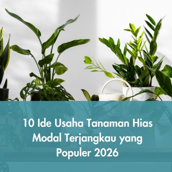 10 Ide Usaha Tanaman Hias Modal Terjangkau yang Populer 2026