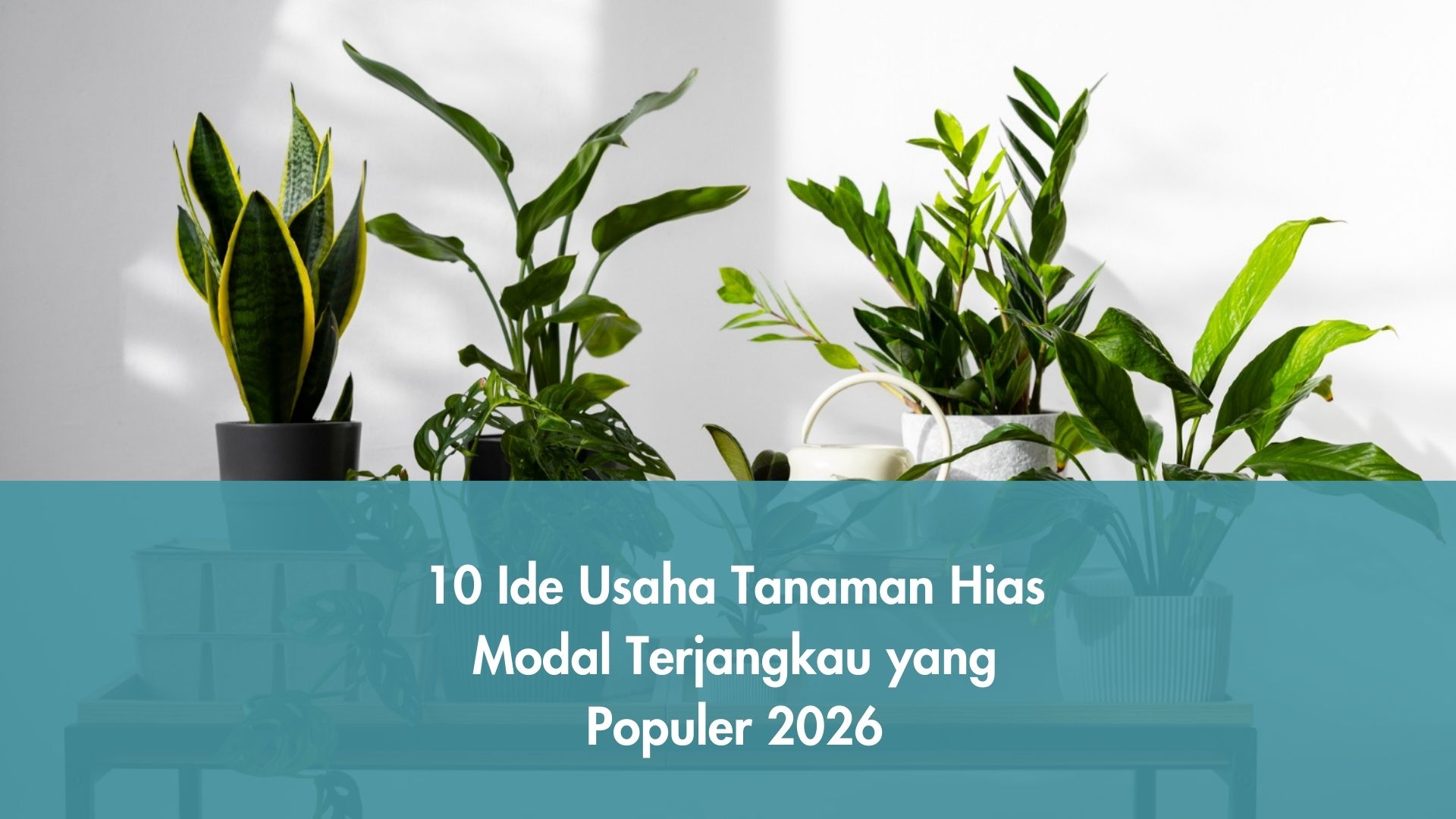 10 Ide Usaha Tanaman Hias Modal Terjangkau yang Populer 2026